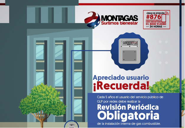 Revisión Periódica
